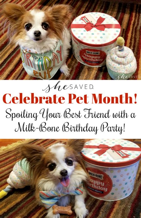 Celebrate Pet Month: Spoiling Your Best Friend with a Milk-Bone ...