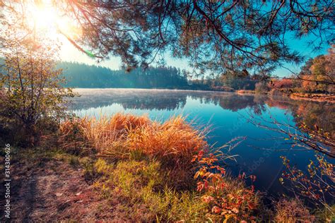 Early misty morning. Sunrise over the lake in autumn Stock Photo ...