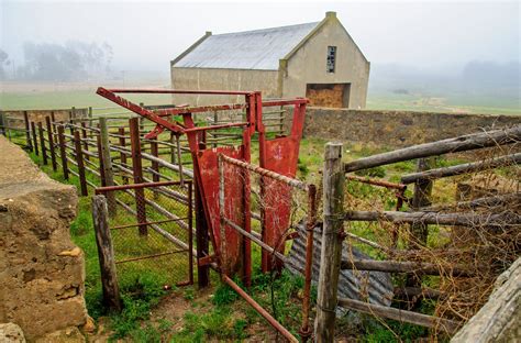 Small Herd Cattle Corral Designs / 5 Tips For Building A Better Bud Box ...