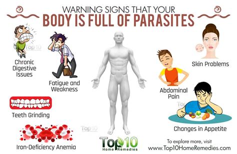 10 Warning Signs that Your Body is Full of Parasites | Top 10 Home Remedies