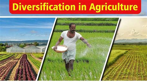 Diversification in agriculture, Types Of Agriculture Diversification