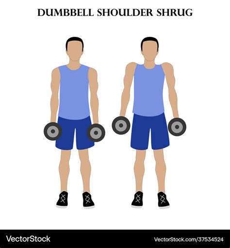 Dumbbell shoulder shrug exercise strength workout Vector Image