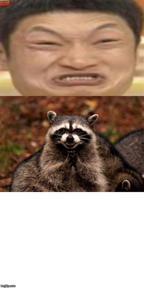 Evil Plotting Raccoon Meme