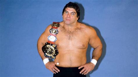 10 Things Wrestling Fans Should Know About Don Muraco