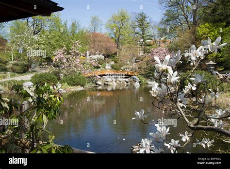 Spring scenery in the Japanese garden Stock Photo - Alamy