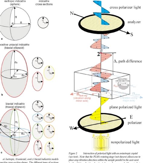 Figure 1 from Rediscovering polarized light microscopy | Semantic Scholar