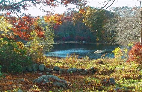 50 Most Stunning University Gardens and Arboretums ...