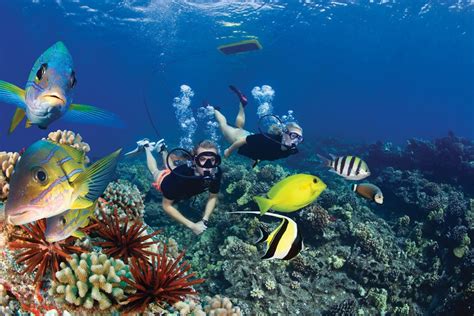 Finding The Best Snorkeling In Maui For Families - Experience the best ...