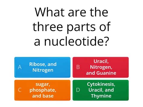 DNA-RNA-PROTEIN SYNTHESIS - Quiz