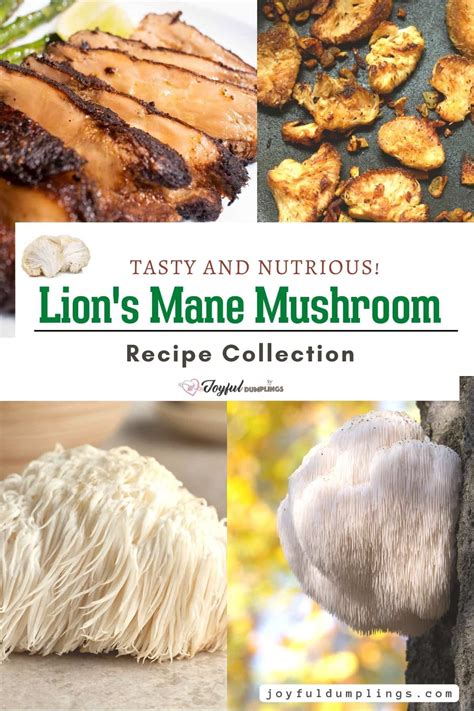 16 Lion's Mane Mushroom Recipes (Super Flavorful!) » Joyful Dumplings ...