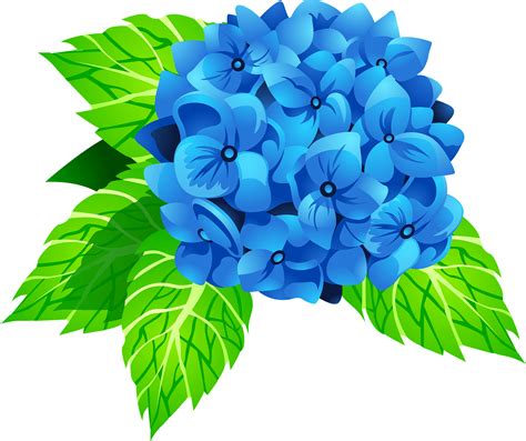 hydrangea petal clipart - Clip Art Library - Clip Art Library