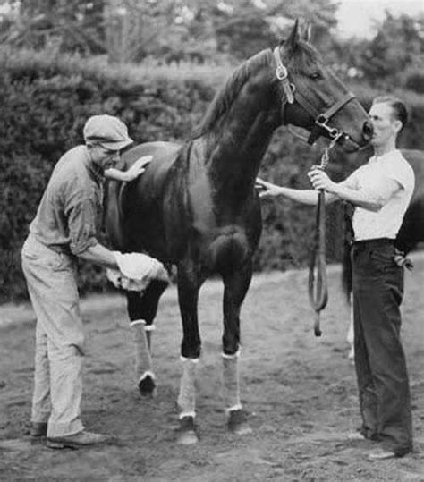 War Admiral … (With images) | Horses, Thoroughbred horse racing, Racehorse