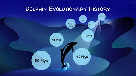 Dolphin Evolution by Yutong Minerva Cao