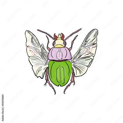 Beetle isolated vector illustration on white background. Insect as logo ...