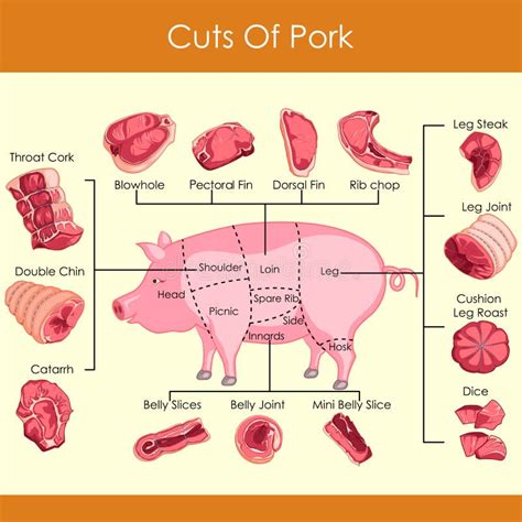 Pork Cuts Diagram Printable