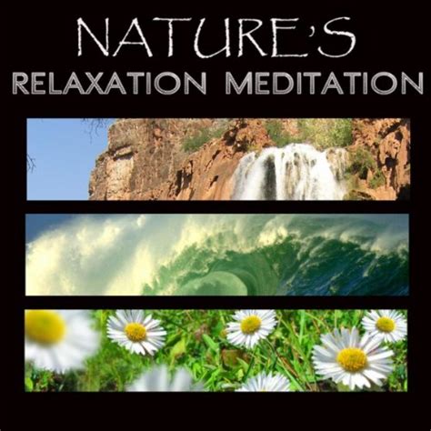 Nature's Relaxation Meditation - Music for Relaxation Meditation, Deep ...