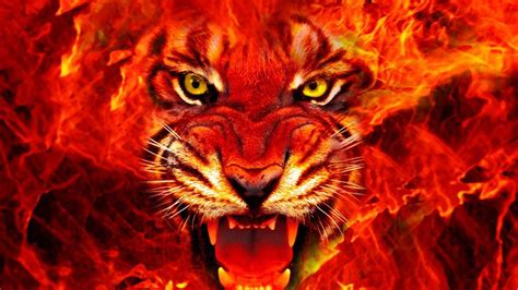 3d Fire Tiger Wallpaper