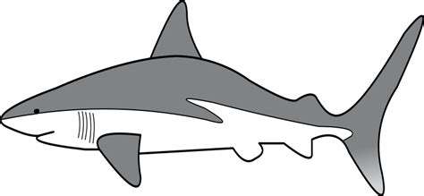 Simple Shark - Openclipart