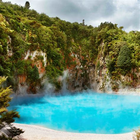 Reasons Why You Should Visit Rotorua - VroomVroomVroom