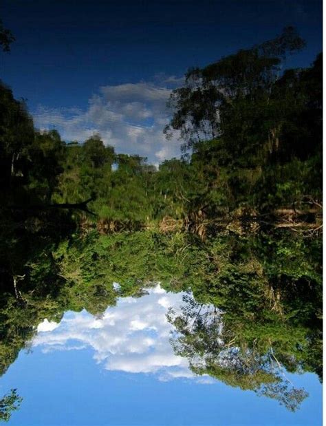 Yasuni' National Forest! | National parks, Ecuador, Scenery