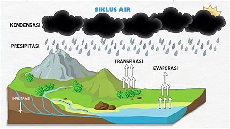 Tahapan Pada Siklus Air Hujan - IMAGESEE