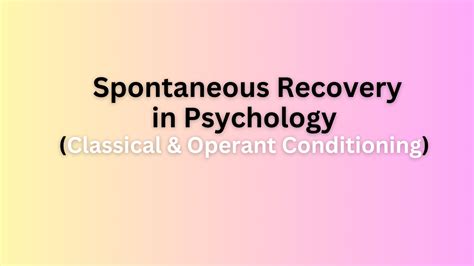 Spontaneous Recovery in Psychology: Definition & Examples - Fuskal