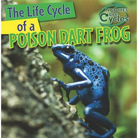 Nature's Life Cycles: The Life Cycle of a Poison Dart Frog (Hardcover ...