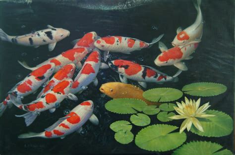 Koi Live Wallpaper - Japanese Koi Fish Pond (#368709) - HD Wallpaper ...