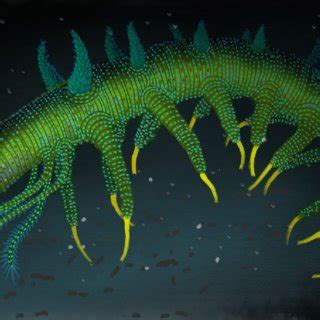 A reconstruction of Hallucigenia hongmeia shown in a deep sea ...