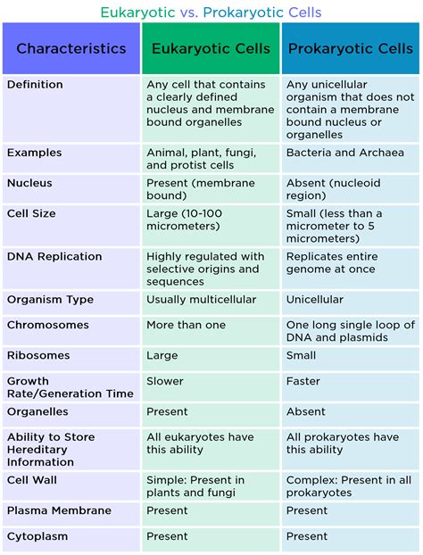 Identify The Three Basic Forms Of Prokaryotes