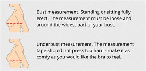 36D bra size: chest and cup measurements, sister sizes in inches and cm ...