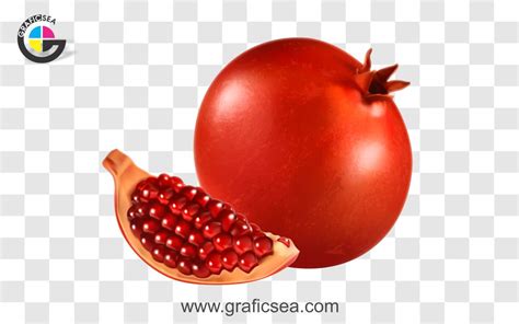 Pomegranate Anar Fruit Clip Art Png Image Free Download | Graficsea