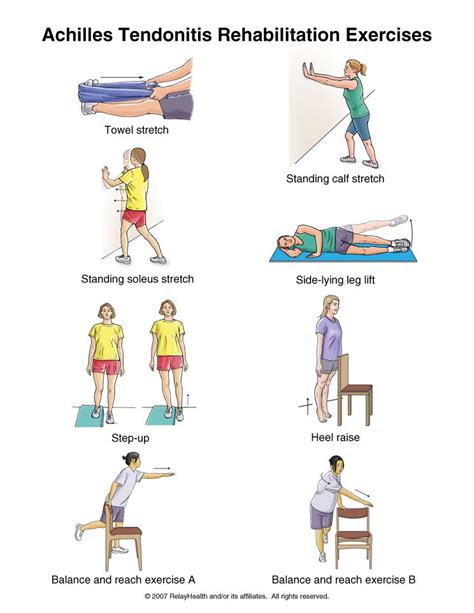 Injury Series: Eccentric exercise and tendon remodeling, part I ...