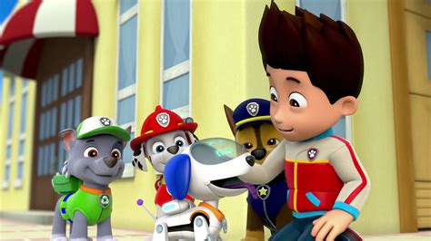 Watch PAW Patrol Season 1 Episode 19: Pups Save A Super Pup/Pups Save ...