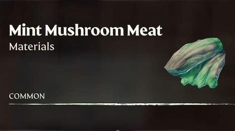 How to Get Mint Mushroom Meat in Enshrouded - Twinfinite