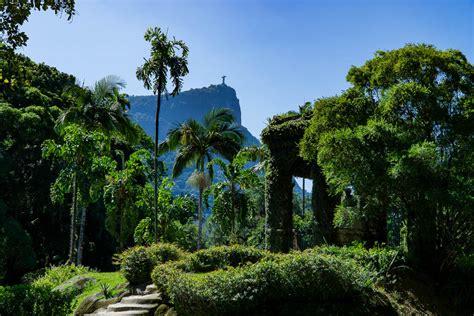 Botanical Garden Guided Visit in Rio - Kated