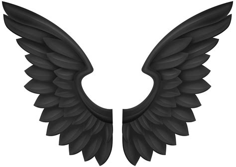 wings clipart png transparrent 10 free Cliparts | Download images on ...