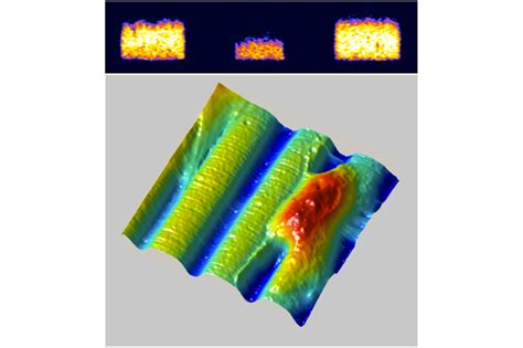 New shrink ray advances biological understanding without damaging cells ...