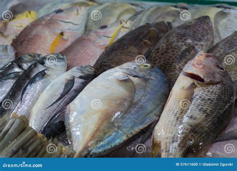 Various Types Of Sea Fish On The Market, Vietnam Stock Photography ...