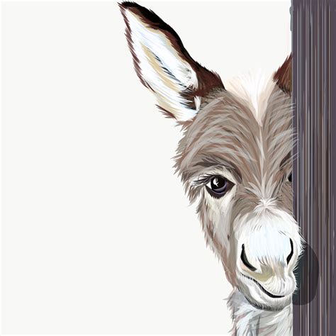 Illustration: DONKEY on Behance