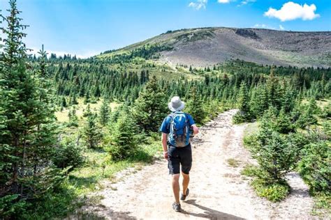 Bald Hills Trail Hike, Jasper National Park | Hike Bike Travel