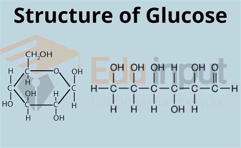 What is Glucose?-Formula, Structure, Types, and Functions