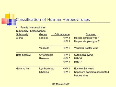 1.3 herpes class