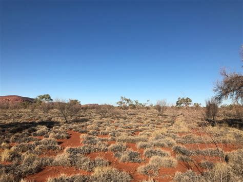 Deserts and xeric shrublands – Australian Acoustic Observatory | A20