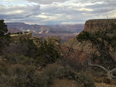 Kaibab National Forest - Tales from the Desert Kaibab National Forest ...