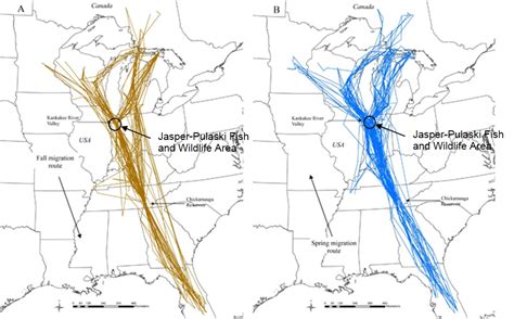 Crane Migration Map