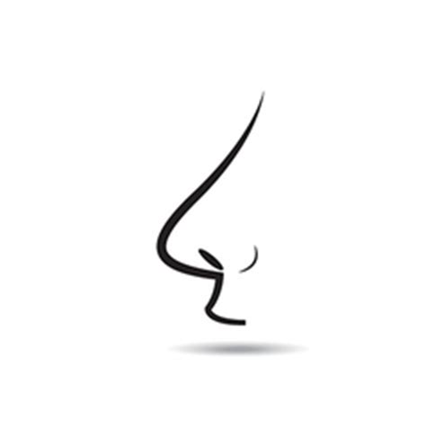 Nose Vector Images (over 58,000)