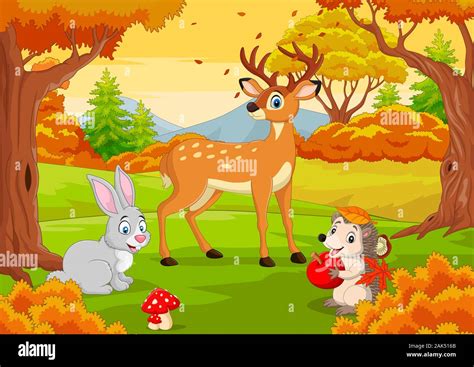 Cartoon wild animals in the autumn forest Stock Vector Image & Art - Alamy