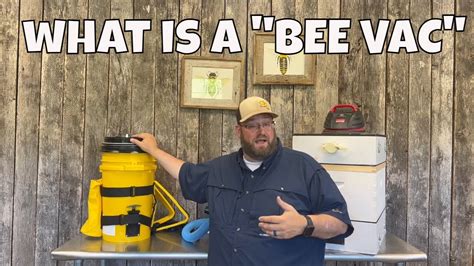 What is a Bee Vacuum ? | Bee Removal Tools | Beekeeping - YouTube