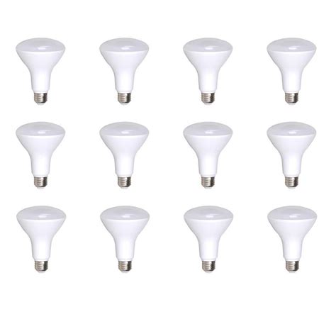 100-Watt Equivalent R40 Dimmable Warm White 25000-Hour LED-Light Bulb ...